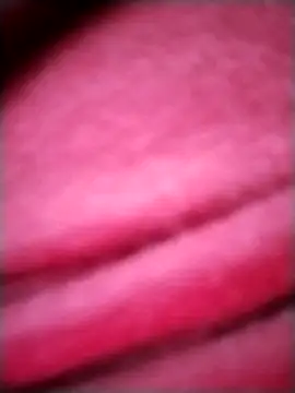 EvaCristal online show from 11-28-25, 09:12