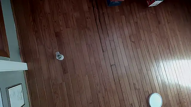 riverside197575 online show from 10-23-25, 09:08