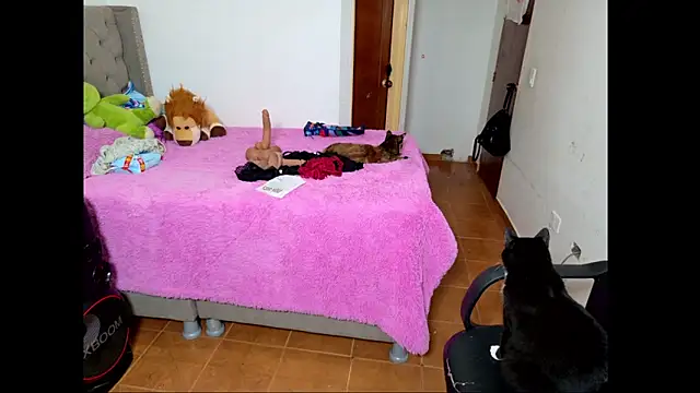 Snapshot of emily_honter chatting on 12-14-25, 08:46 emily honter online show from 12-14-25, 08:46