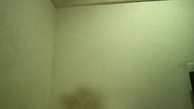 Snapshot of Magicwordsforme chatting on 03-10-25, 12:40 Magicwordsforme online show from 03-10-25, 12:40