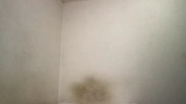 Snapshot of Magicwordsforme chatting on 03-15-25, 12:25 Magicwordsforme online show from 03-15-25, 12:25