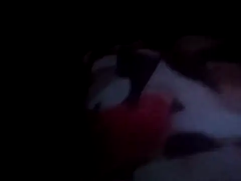 PrinceNoAlbert online show from 12-15-24, 01:02