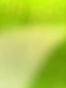 Dhiyapink online show from 12-21-24, 03:58