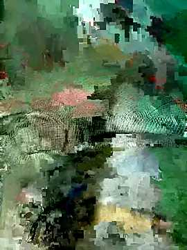 Subhajit12Jana23 online show from 03-19-26, 06:50