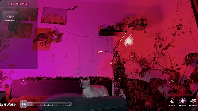 olivecum online show from 01-20-25, 04:01