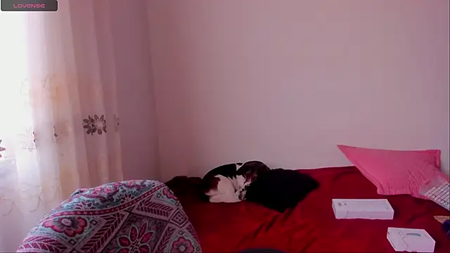 Snapshot of aluna_0310 chatting on 12-09-24, 06:46 aluna 0310 online show from 12-09-24, 06:46