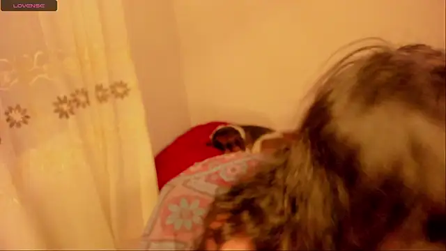 Snapshot of aluna_0310 chatting on 01-16-25, 11:59 aluna 0310 online show from 01-16-25, 11:59