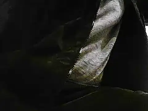 Snapshot of papiculo86 chatting on 01-29-25, 09:33 papiculo86 online show from 01-29-25, 09:33