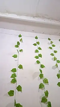 shayna all online show from 11-25-25, 06:08