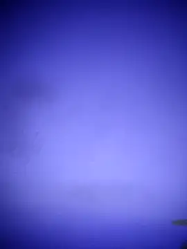 waspy online show from 03-08-25, 02:55