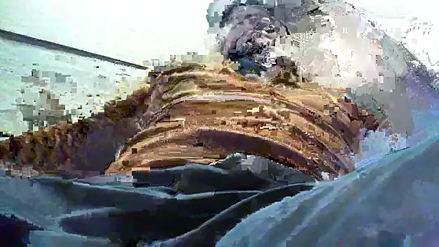 Billywax online show from 01-08-26, 09:11