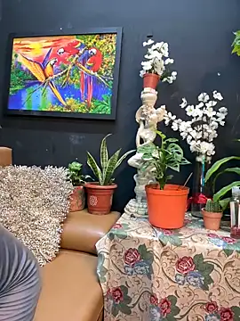 uma patna000 online show from 12-31-24, 08:26