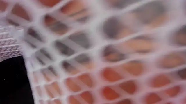 rosalia-04 online show from 11-10-25, 06:07