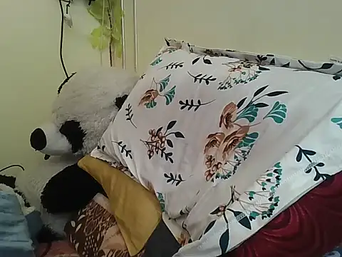 SHENOY3 online show from 02-02-25, 06:26