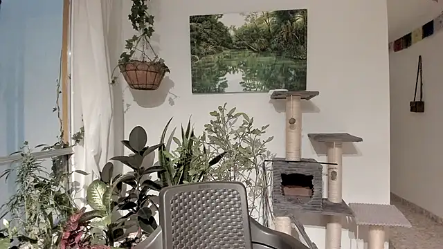 Snapshot of sexnherbs chatting on 02-11-26, 12:37 sexnherbs online show from 02-11-26, 12:37