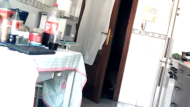 bixesualactivo online show from 03-23-26, 11:58