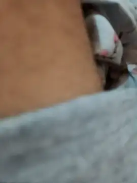 riggijaviersalas online show from 11-14-25, 01:15