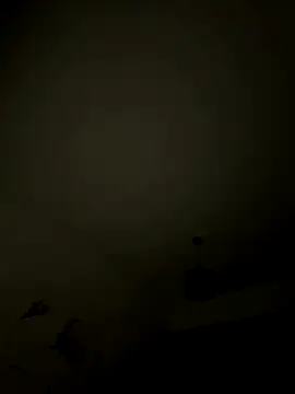 1Aleks13 online show from 11-12-25, 01:39