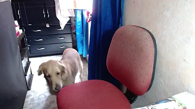 Barbiegomez online show from 10-14-25, 04:41