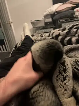 Snapshot of Furdale chatting on 02-11-25, 06:11 Furdale online show from 02-11-25, 06:11