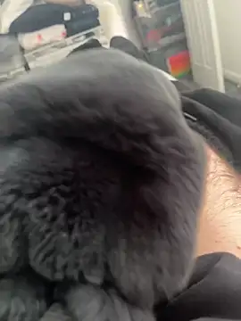 Snapshot of Furdale chatting on 03-14-25, 11:12 Furdale online show from 03-14-25, 11:12