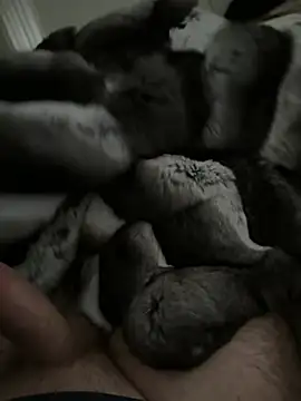 Furdale online show from 01-14-26, 02:44