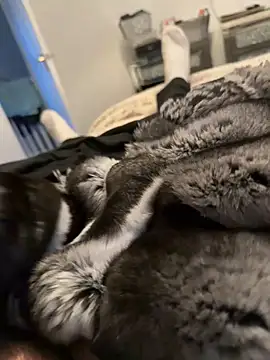 Furdale online show from 02-12-26, 04:24