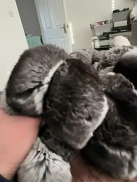 Furdale online show from 02-23-26, 03:53