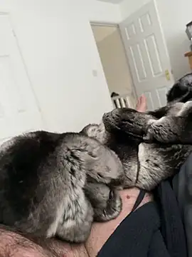 Furdale online show from 04-25-26, 11:35