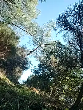 Poyraz6996 online show from 11-14-25, 11:53