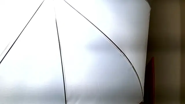 Ledy Mary online show from 11-08-25, 04:51