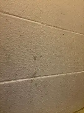 Greedy187nMs211 online show from 12-02-25, 07:47