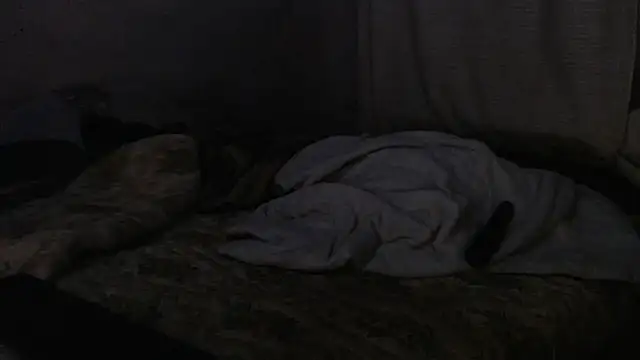 devine TATAS online show from 09-16-25, 07:26