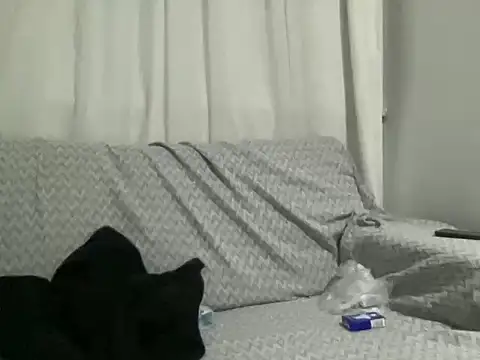Snapshot of ALPHANDRE chatting on 02-21-25, 06:04 ALPHANDRE online show from 02-21-25, 06:04