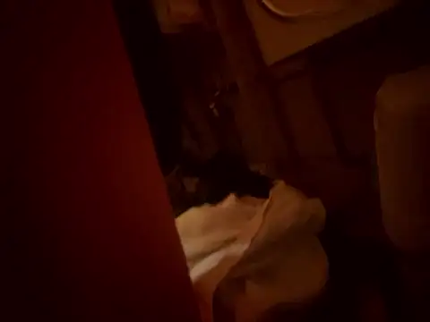 Dannadcz online show from 03-24-26, 08:25