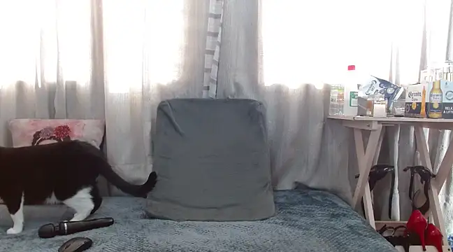 Snapshot of Boonny_Boo01 chatting on 02-01-25, 01:41 Boonny Boo01 online show from 02-01-25, 01:41