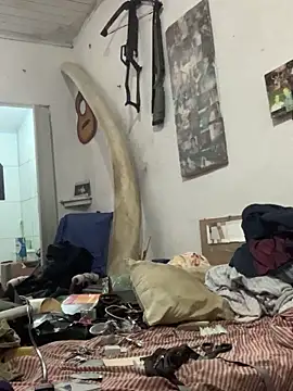 Snapshot of raphadoors19 chatting on 12-20-25, 04:52 raphadoors19 online show from 12-20-25, 04:52