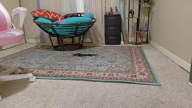 Emihaze online show from 04-15-26, 03:52