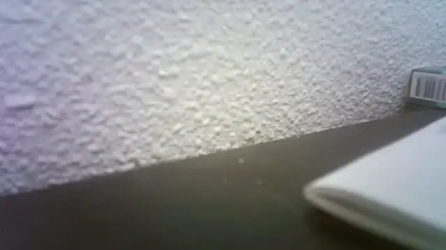 pau65vb online show from 11-19-25, 08:03