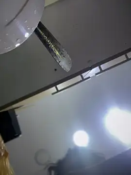 Tayra Siny online show from 02-14-25, 12:47