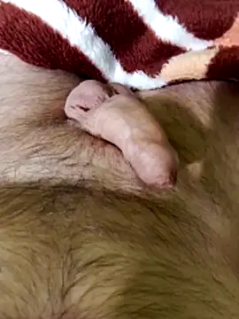 Snapshot of Robertvirt chatting on 02-16-26, 11:06 Robertvirt online show from 02-16-26, 11:06