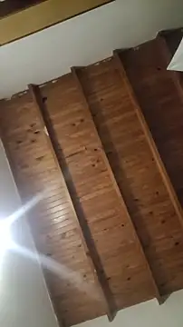 ZaraHoney online show from 10-28-25, 05:11