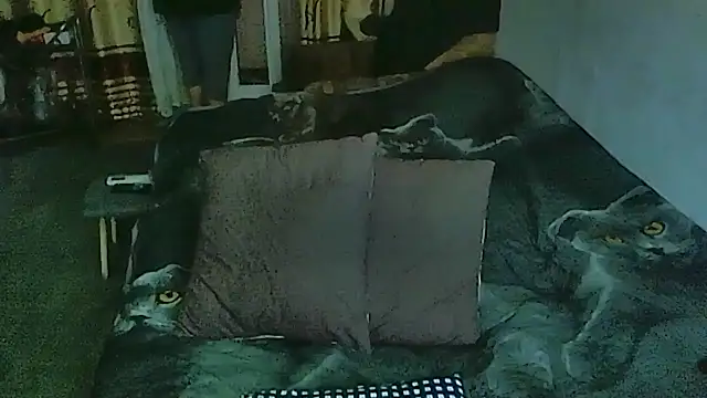 sex2 online show from 03-30-26, 12:11