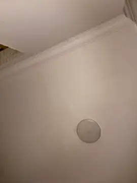 Drkats online show from 03-18-26, 01:53