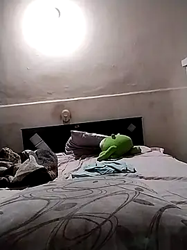 starplss online show from 11-08-25, 03:07