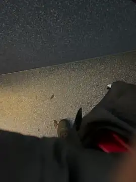 angelitasexy81 online show from 12-15-25, 03:49