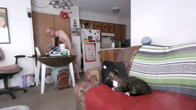 Ursulet US online show from 04-23-26, 11:40