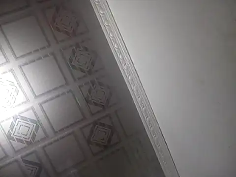 PlanetalMilk online show from 04-25-26, 02:03