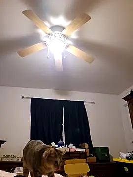 Snapshot of ScarletCallings420 chatting on 02-19-25, 03:27 ScarletCallings420 online show from 02-19-25, 03:27