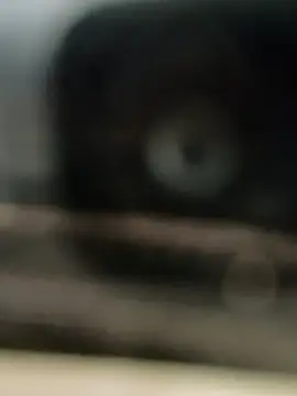 hornydick4you online show from 03-02-25, 10:56